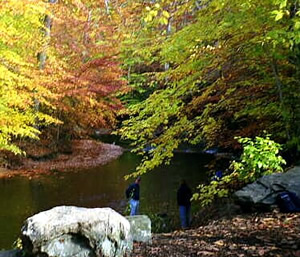 Barefoot Hikers Explore Ridley Creek under a canopy of colorful fall leaves